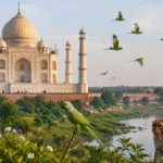 Taj Mahal wildlife with birds and peacock scene