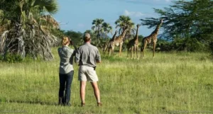 Weekend Getaways Near Bangalore